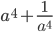 a^4+\frac{1}{a^4}